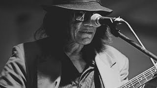 Sixto Rodriguez  Youd Like To Admit Tłumaczenie PL © [upl. by Vince]