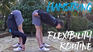 Beginner Hamstring Flexibility Routine [upl. by Monica507]