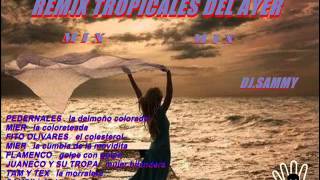 REMIX TROPICALES DEL AYER MIX DJ SAMMY [upl. by Notsae]