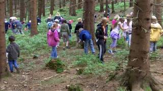 Schatzsuche im Harzer Edelsteinwald [upl. by Grete252]