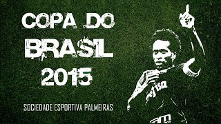 Copa do Brasil 2015  Melhores Momentos do Palmeiras Do 1º jogo até a Grande Final [upl. by Nyrahs]