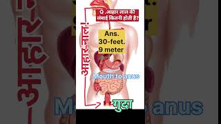 What is the length of the alimentary canal आहार नाल की कितनी लंबाई है V VI QBoard [upl. by Hako]