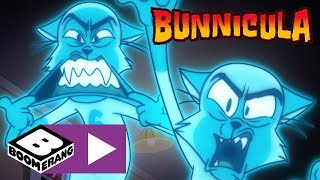 Bunnicula  Chester And His Ghost Gang  Boomerang UK 🇬🇧 [upl. by Bueschel]