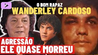 WANDERLEY CARDOSO  O Bom Rapaz da Jovem Guarda  Especial [upl. by Pruter]