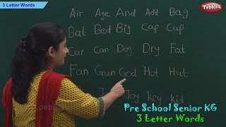 3 Letter Words  Three Letter Phonics Words  Sight Words  School Leaning [upl. by Beitch]