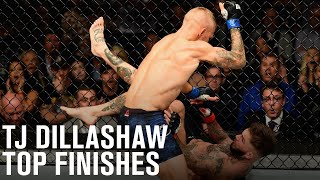 Top Finishes TJ Dillashaw [upl. by Aimak450]