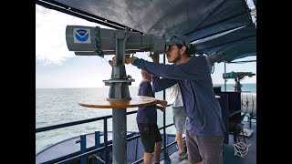 Vaquita Survey Press Conference [upl. by Delwyn]