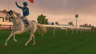 Rival stars Steeplechase Steeplefalls Lincoln Abbey 1400m SurfaceFirm [upl. by Diamond345]