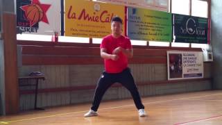 Taiji Quan  Chen  San Shou V2  Shen Si  Fécamp Août 2017 [upl. by Coleen503]