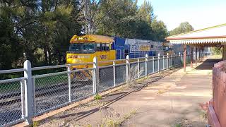 Pacific National West Bound Intermodal Passing Through Molong NSW 10 August 2024 [upl. by Lledniuq]