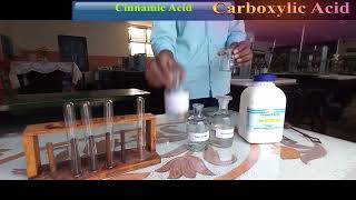 Cinnamic Acid 12th chemistry practical [upl. by Llibyc]