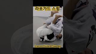 Lasso Guard Sweep 라쏘가드 스윕 라쏘가드 스윕 LassoGuard Sweep [upl. by Nylanaj631]