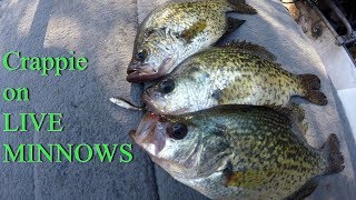 2lb Crappie VideoCrappie Fishing Video [upl. by Nealah]