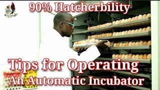 How to set amp operate an Automatic egg incubator  How to set up a hatchery [upl. by Ellirpa175]