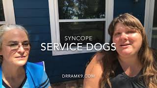 About syncope service dogs  pots  dysautonomia [upl. by Sawyere]