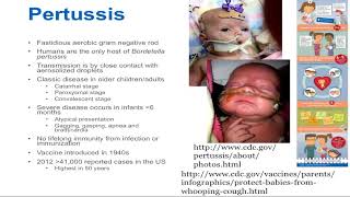 Pertussis Epidemiology and Clinical Presentation [upl. by Johiah75]