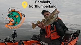 Kayak fishing at Cambois Northumberland for cod and pollock [upl. by Mossman]