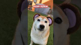 Is that Freddy Fazbear shibainu freddyfazbear fnafmemes [upl. by Karol]