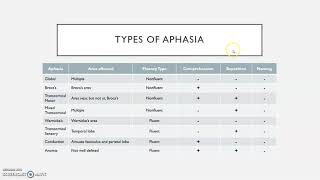 Types of aphasia [upl. by Ennairrek506]