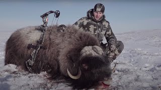 Alaskan Musk Ox Hunting in Toksook Bay [upl. by Evante976]