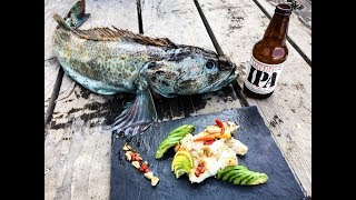 Catch and cook my first LINGCOD [upl. by Esor]