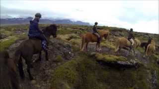 Riding through lavafield Búðahraun on Icelandic horses  II [upl. by Navada439]