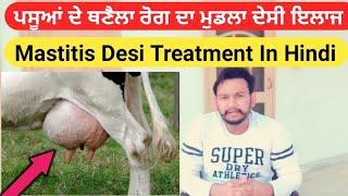 Mastitis desi Treatment। ਥਨੈਲਾ ਰੋਗ ਦਾ ਦੇਸੀ ਇਲਾਜ। गाय भैंस में थनैला रोग का देसी इलाज [upl. by Broderick]