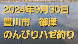 愛知県 東三河の豊川にて、のんびりとハゼ釣りをしてきましたぁ～☺️ [upl. by Adaiha260]