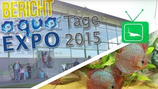 AQUA EXPO TAGE 2015  MESSEBERICHT  GarnelenTv [upl. by Gow394]