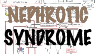 Nephrotic Syndrome vs Nephritic Syndrome [upl. by Nnairahs595]