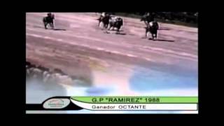 OCTANTE Vilmar Sanguinetti  Gran Premio Jose Pedro Ramirez 1988 [upl. by Concoff]