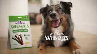 WHIMZEES Dog Dental Treats 15s [upl. by Amehsat120]