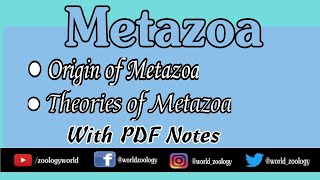 Metazoa Origin Of Metazoa Theories related to origin with Notes [upl. by Adnert]