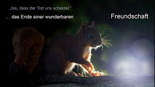 Abschied von einem wunderbaren Eichhörnchen [upl. by Feodora]