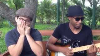 Isnt she lovely  Stevie Wonder  Harmonica e Guitarra [upl. by Theodor232]