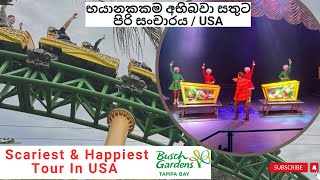 ඇස් මවිතයට පත්වන මැජික් 🪄 සමගින් භයානක Roller Coasters චාරිකාව 🥳 USA 2024 amazing [upl. by Boardman]