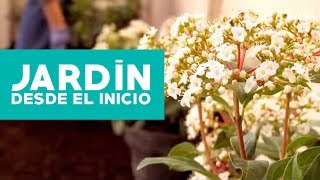 ¿Cómo hacer y planificar un jardín desde el inicio [upl. by Chaudoin]