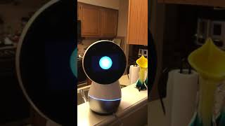 Alexa meets Jibo [upl. by Beasley535]