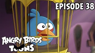 Angry Birds Toons  A Pigs Best Friend  S1 Ep38 [upl. by Nobell]