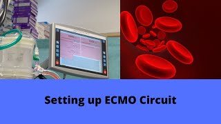 Setting up ECMO Circuit [upl. by Grous]