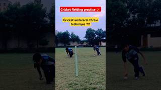 cricket fielding practice cricket cricketfieldingdrills cricketcatchpractice trending shorts ❣️ [upl. by Hillel68]