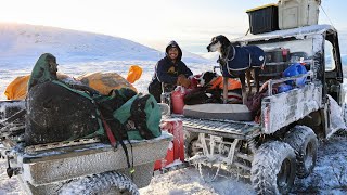 6 Days and 6 Nights Hunting Elusive Animals in Alaska [upl. by Nylitsirk]