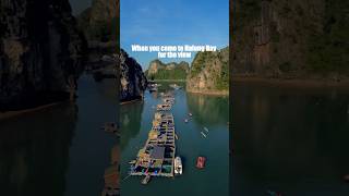 Halong Bay is not just about the view indochinajunk halongbay travel vietnam doglover [upl. by Aitram]