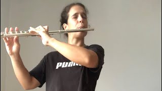 T Berbiguier flute etudes 3 Allegro [upl. by Eldorado]