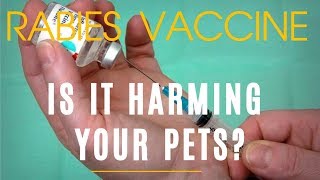 Is Rabies Vaccine Harming Your Pets [upl. by Navnod]