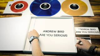 Andrew Bird  Are You Serious Deluxe Box Set UNBOXING [upl. by Ytsud]