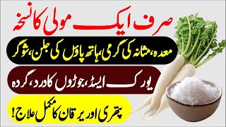 Radish Benefits Moli K Fayde For Uric Acid Kidney Weight Loss And Diabetes Treatment Urdu Hindi [upl. by Jordon]