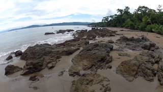 Corcovado National Park near Drake Bay Costa Rica Full HD [upl. by Hassi]