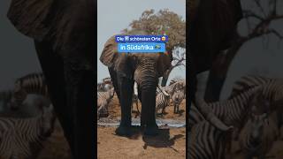 Die 5 schönsten Orte in Südafrika 🇿🇦🦒🌍 [upl. by Darline]