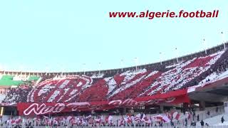 Coupe dAlgérie  Tifo du Chabab lors du match CRB  NAHD [upl. by Eirlav]